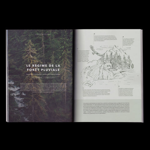 Issue 01 - What Is at the Heart of Our Connection with Nature?