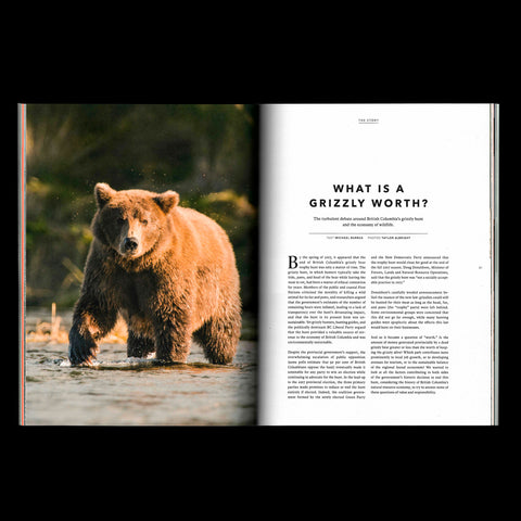 Numéro 03 - Quelle est la valeur de la nature?