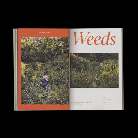 Issue 10 - Our Transformations