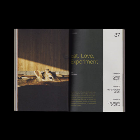 Issue 10 - Our Transformations