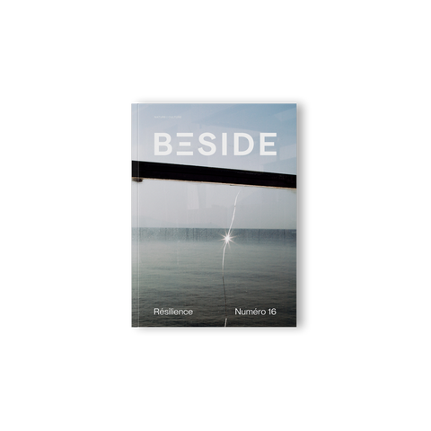 Numéro 16 - Résilience
