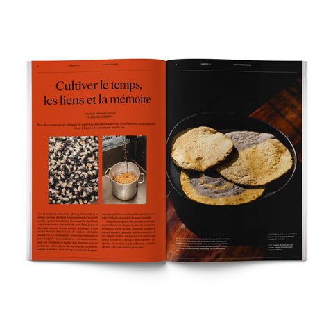 Numéro 16 - Résilience