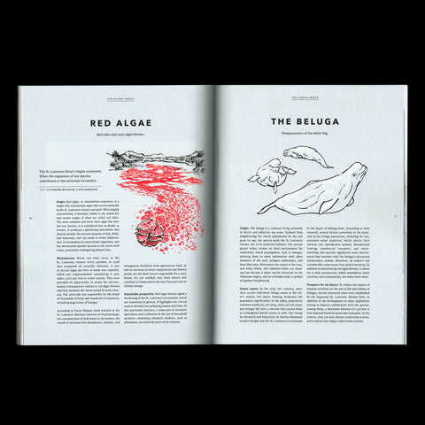 Issue 02 - How Do We Keep the Outdoors Wild?