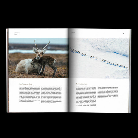 Issue 04 - What Can Nature's Trajectories Teach Us?