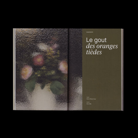 Numéro 10 - Nos transformations