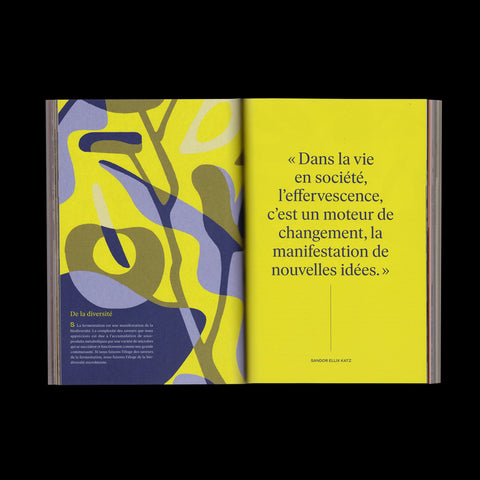 Numéro 10 - Nos transformations
