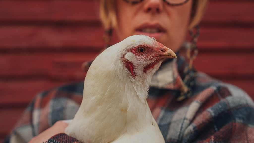Catherine Laporte holds a hen.