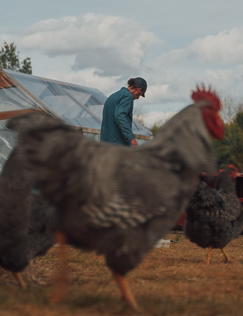 Rémi Poirier and his hen house.