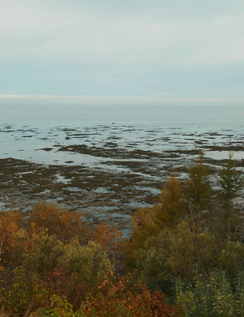 St. Lawrence River at low tide.